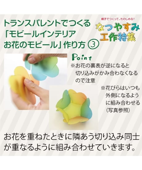 トランスパレント　レインボー色10枚 （厚）　/　フォリア