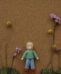 Ambrosius dolls / boy