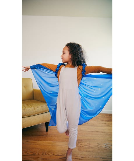 Wings Starry Night/Sarah's silks