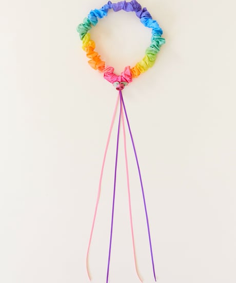 Rainbow  Gaeland /Sarah's silks