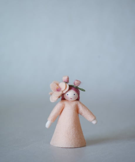 フリージア/コーラル　Large