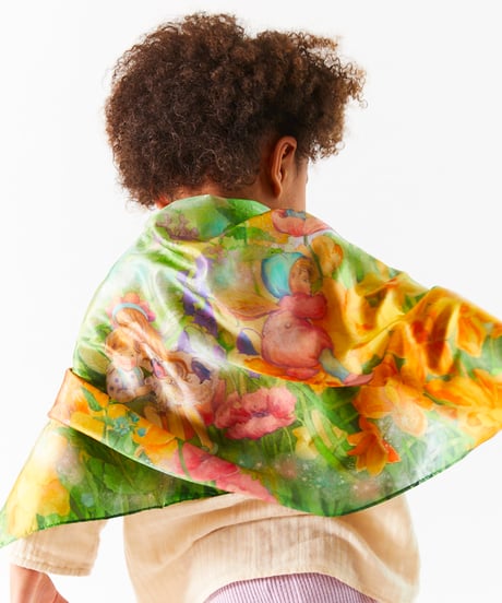 Fairyland -Seek & Find  /Sarah's silks