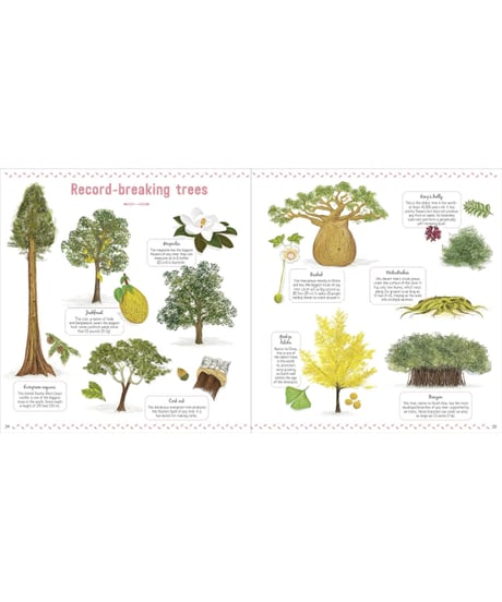 The Book of Amazing Trees