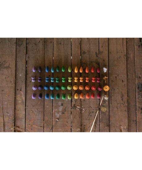 Mandara RAINBOW FLOWERS/ grapat