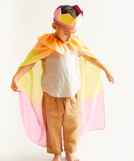 【限定カラー】Cape Hummingbird Pink/Sarah's silks