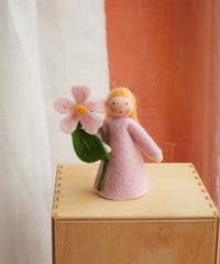 野ばら　/　Ambrosius dolls