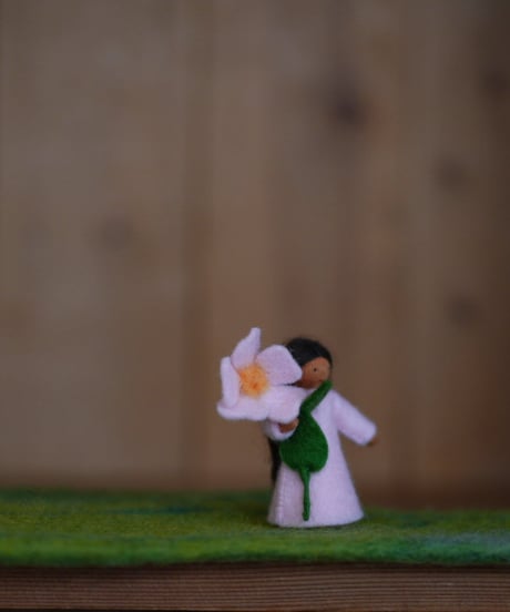 野ばらの妖精1　ブラウン