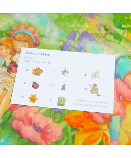 Fairyland -Seek & Find  /Sarah's silks