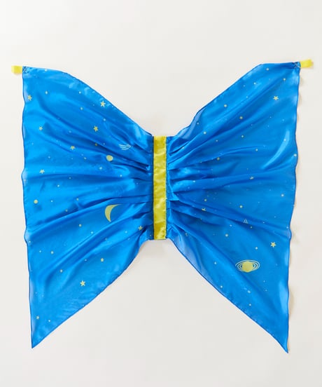 Wings Starry Night/Sarah's silks