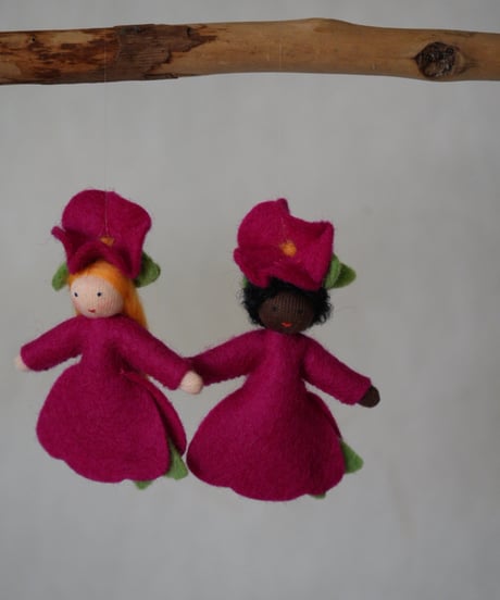 ペチュニア　ハンギング /　Ambrosius dolls