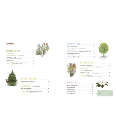 The Book of Amazing Trees