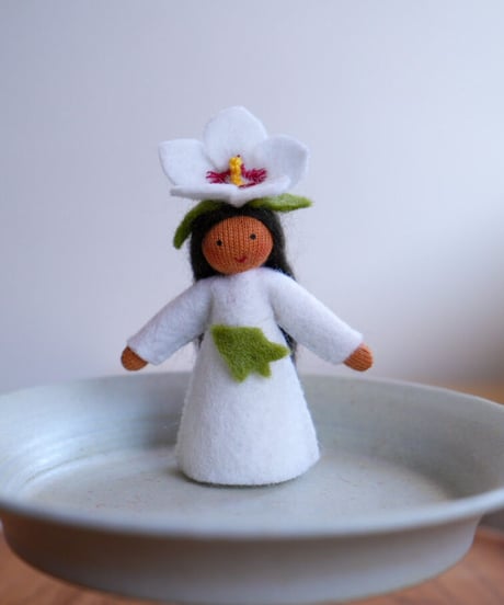 ハイビスカスの妖精(ホワイト)  ブラウン