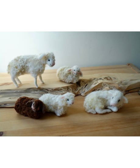 Sheep B　(伏せている)　/Margo