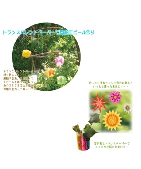 トランスパレント　10色10枚（厚）　/　フォリア