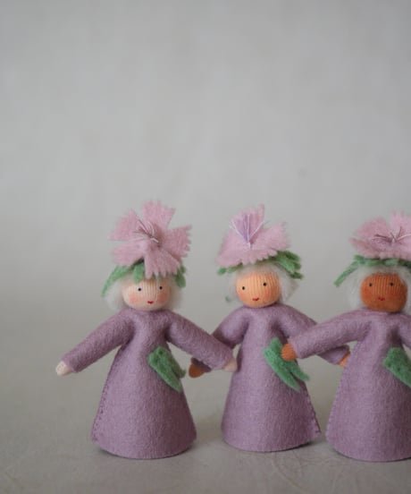 カーネーション　Medium/　Ambrosius dolls