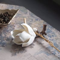陶花　白木蓮