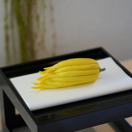 陶花　仏手柑