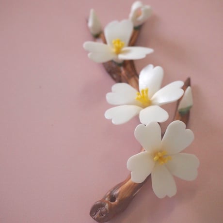 中国陶花　桜