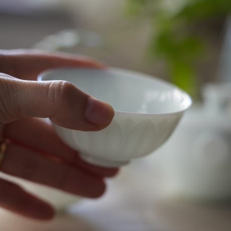 茶杯　菊花