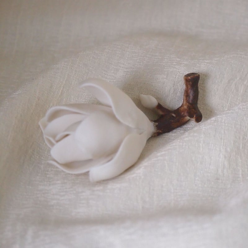 陶花 白木蓮 | MY Dear LIFE