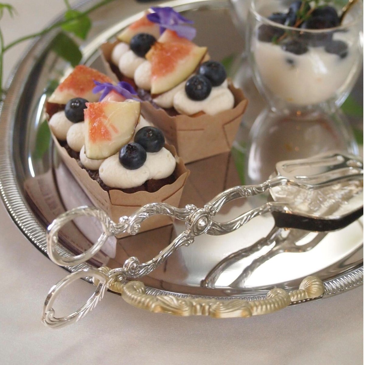 ペストリートング ペストリートング | MY Dear LIFE