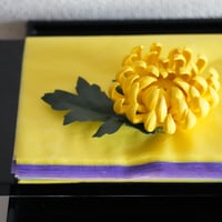 五色しつらえ敷紙