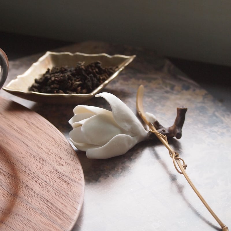 陶花 白木蓮 | MY Dear LIFE