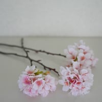 桜手毬小枝　アーティフィシャル