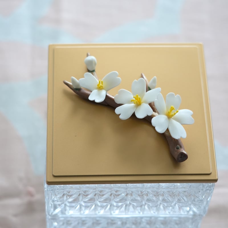 中国陶花 桜 | MY Dear LIFE 中国陶花 桜 | MY Dear LIFE
