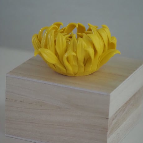 陶花　菊  　木箱入り
