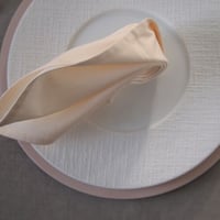 テーブルナプキン２枚セット　シャンパン