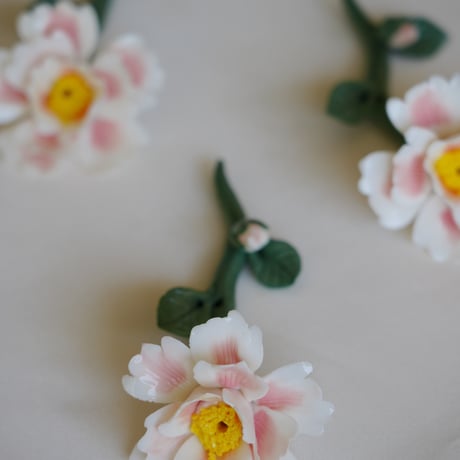 陶花　牡丹