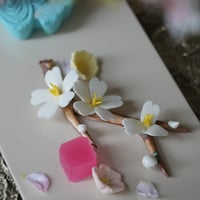 陶花　桜