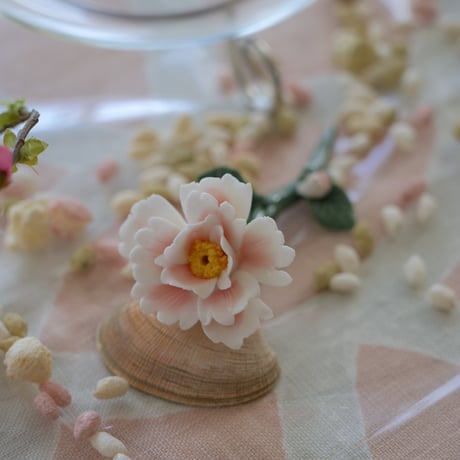 陶花　牡丹