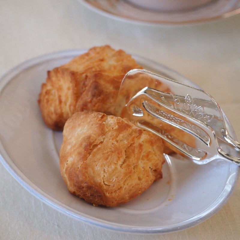 ペストリートング | MY Dear LIFE