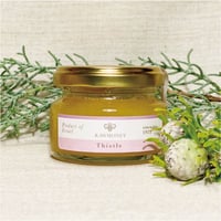 ガラリア アザミハニー〈Gift size_70g〉~Raw Honey~