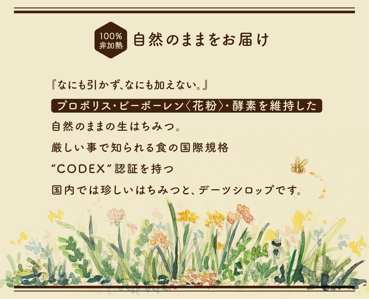 ●【最後の１枚】【訳アリ】Drop of honey １枚 AZONE INTERNATIONAL::えっくす☆きゅーと::商品詳細
