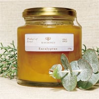ユーカリハニー〈M size_270g〉~Raw Honey~