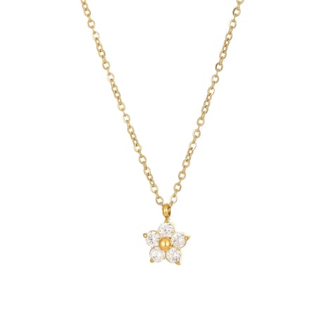 Putit zircon flower necklace white 316L