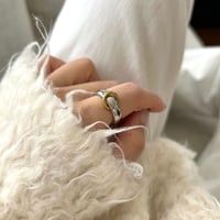 R-102G13
