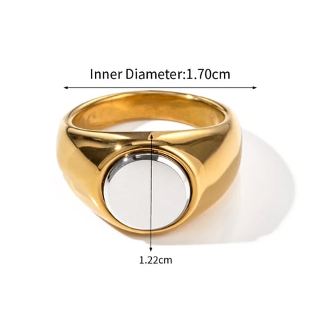 Stitch mirror ring combi 316L