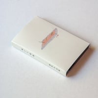 野良の花壇 [tape]