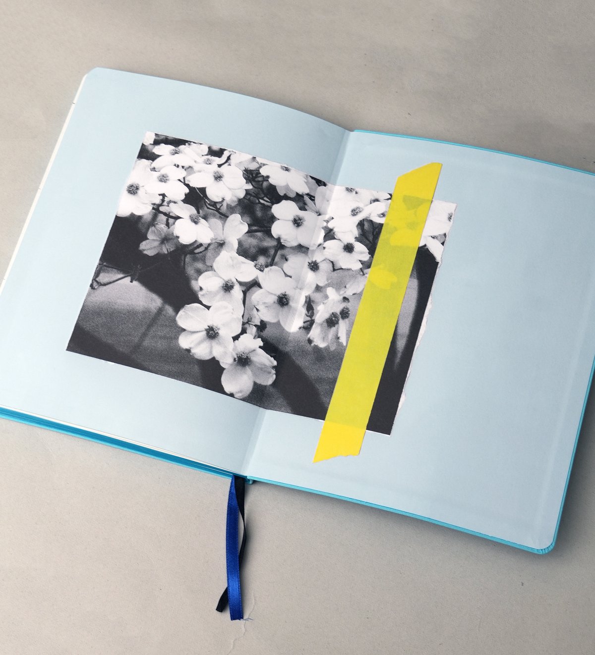 Sofia Coppola｜Important Flowers Planner 2026 |