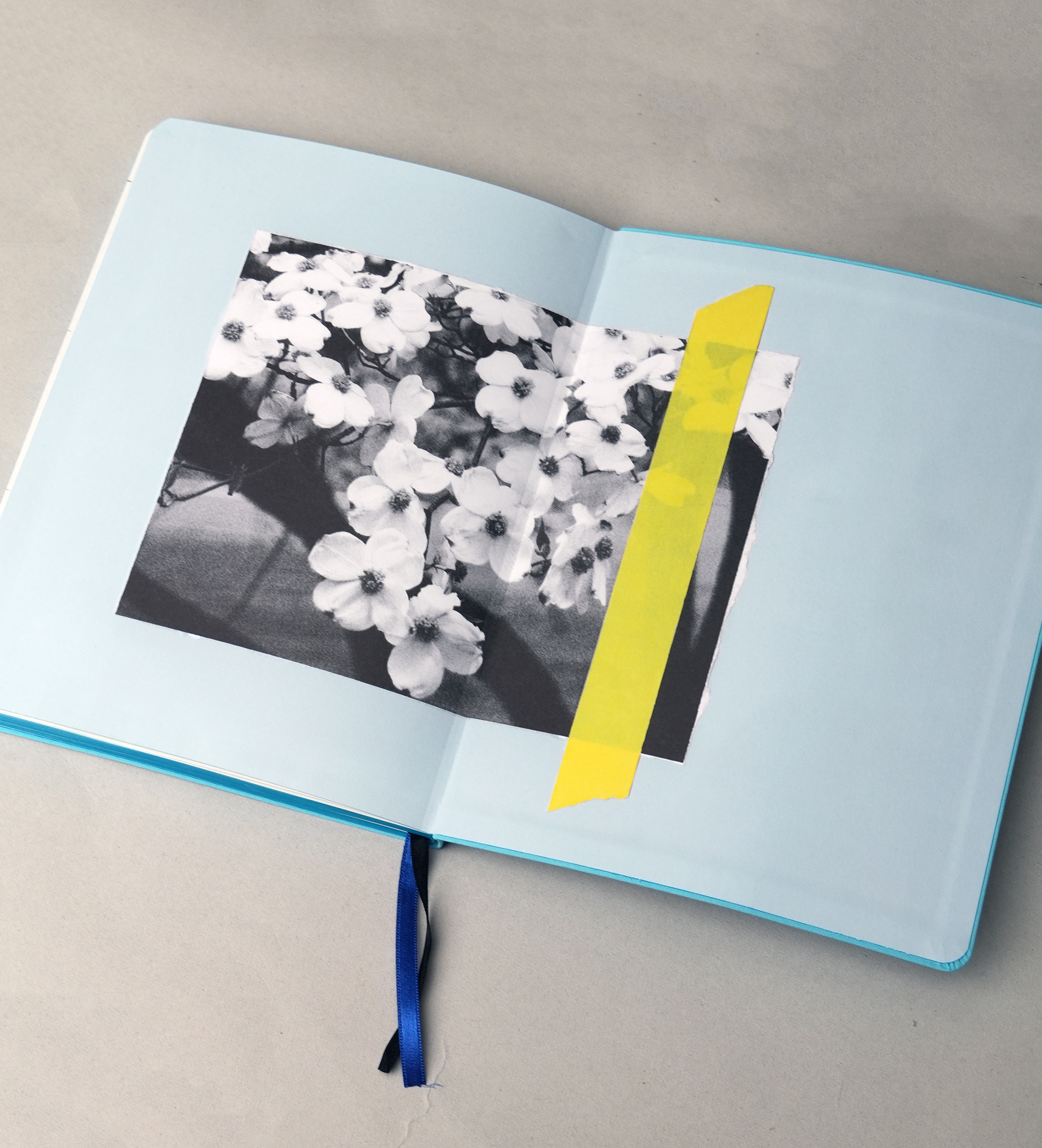 Sofia Coppola｜Important Flowers Planner 2026 |