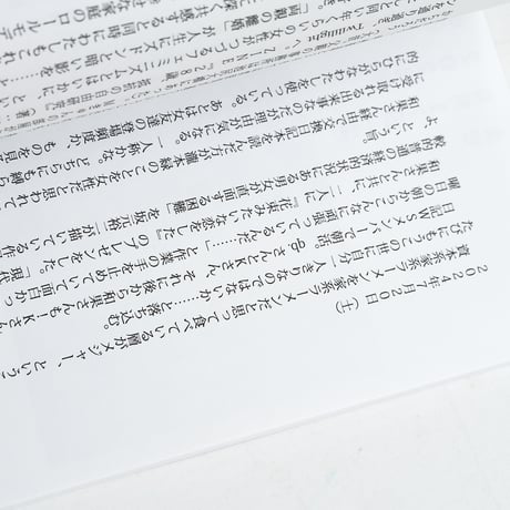 日記集 柄シャツ以降