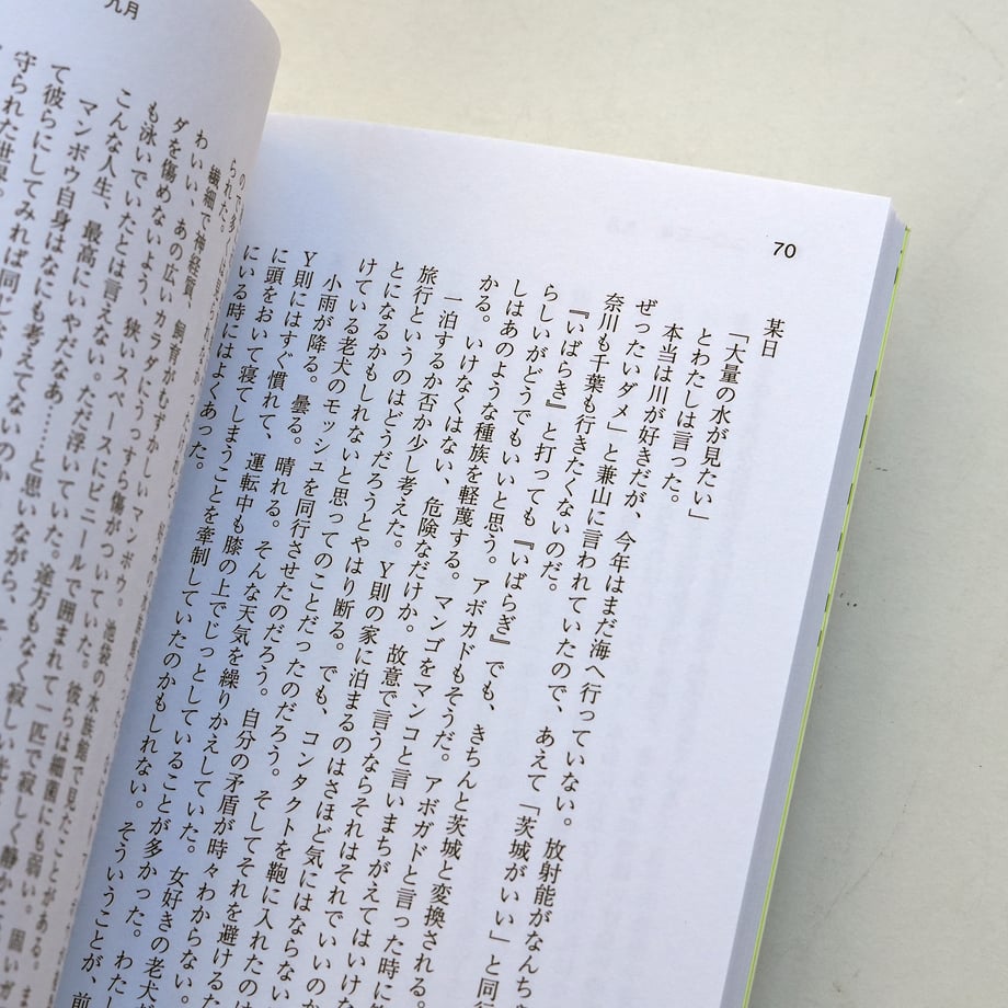 677b828841d565028efda62b