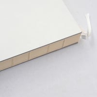 aynoma plain diary 2025