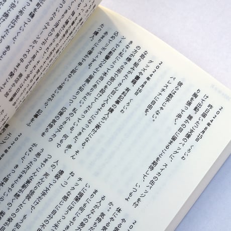 パレスチナについて考えた日の日記