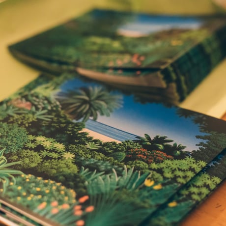 DUNNS RIVER 「LAND -TODOKETAI」(7inch)