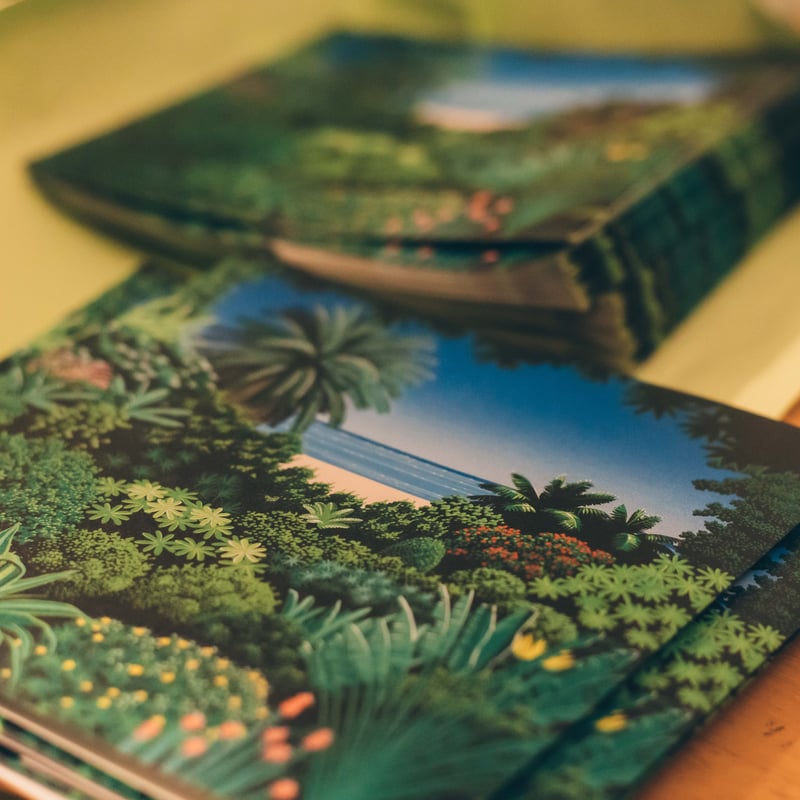DUNNS RIVER 「LAND -TODOKETAI」(7inch) | MEDZ SHOP